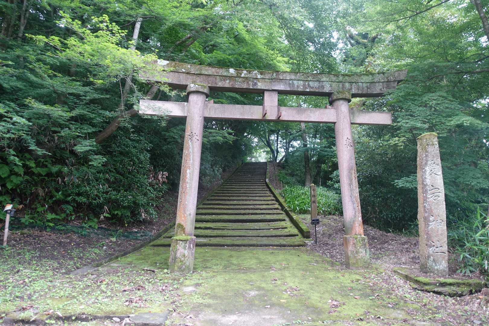 登山口！
駅近ホテルから徒歩30分程