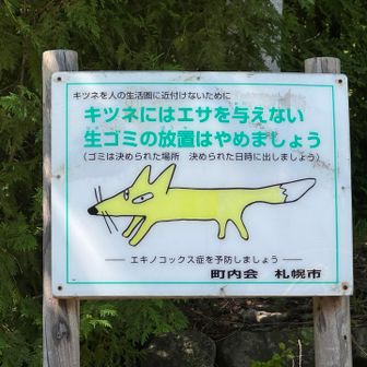 これはいい狐だな🦊