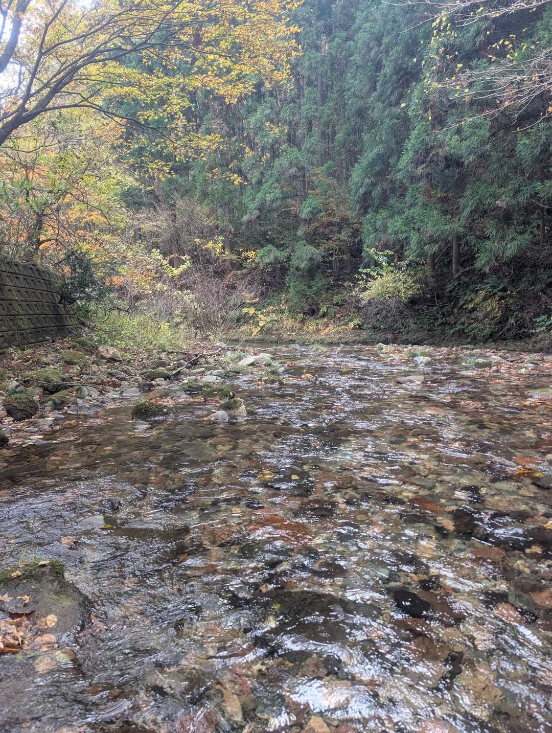 おしまい。
ありがとうございました🙏
お昼一緒に食べたかったけど
タイムアウト😅
また今度😉💕