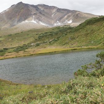 朝の見慣れた景色が！