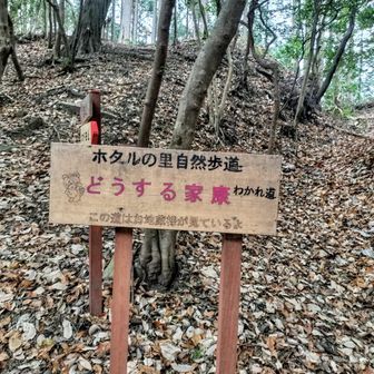 ここ岡崎市は家康さんの出身地だに。(三河弁)