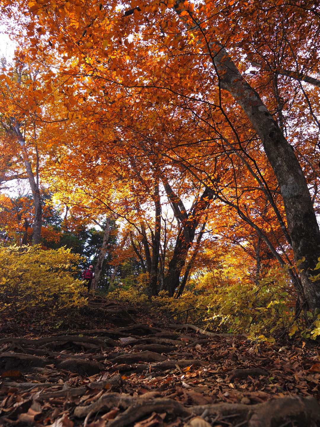 石山の路にて