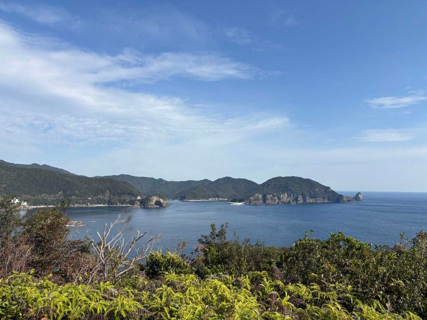 今日は本当に最高のお天気✨