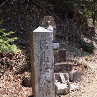左 青根ヶ峰 真っ直ぐ 山上ヶ岳