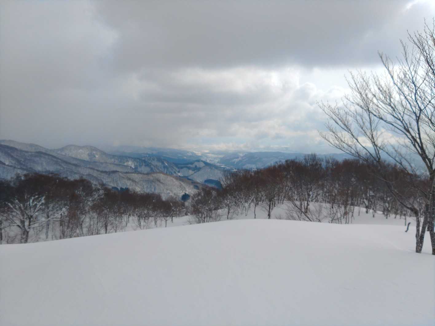 八ッ楯山の写真