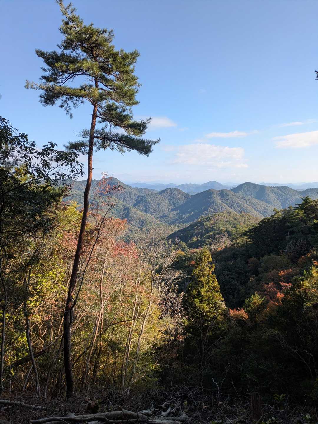 日龍峯寺-高沢山-大仏山-本城山 周回コースの写真