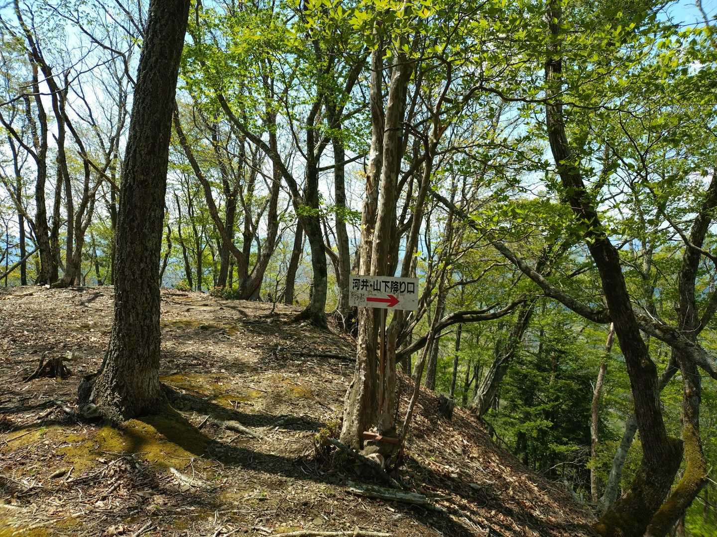 山頂直下まで戻り美作河合駅側へ下山
