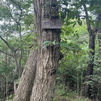 妹背山（いもせやま）
標高210m