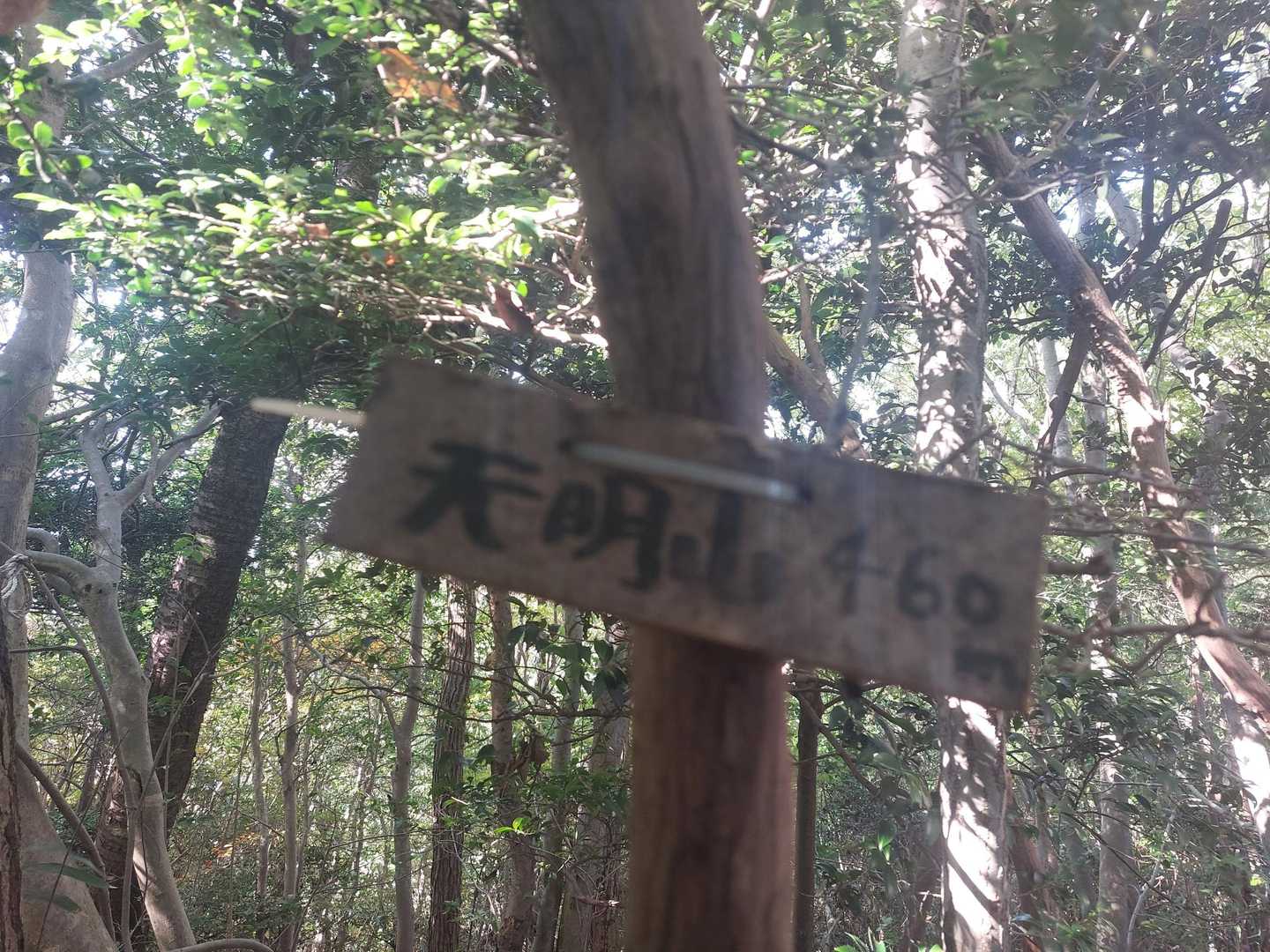 ぐるっと回って天明山に到着👏
眺望はありません😅