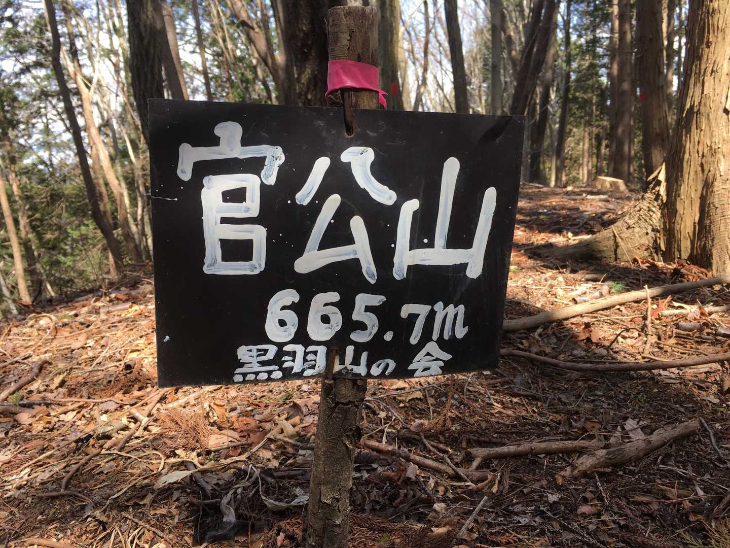 官公山(かんこうやま)