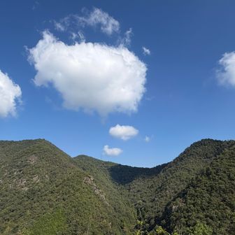 綿菓子の様な雲