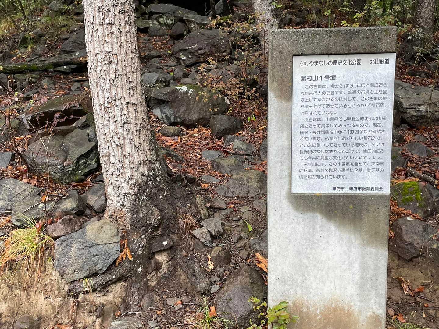 1号墳碑の左の木の根元でスズメバチが出入りしてる😨