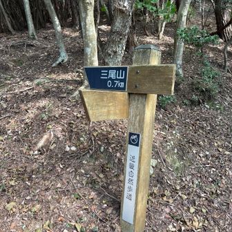 三尾山方面へ。