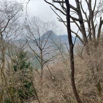 道中　隣の尾根は灰色ピークの様子
険しそうです