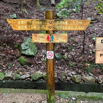 女子トイレと男子トイレの距離が遠すぎる。
と一瞬思ってしまう笑