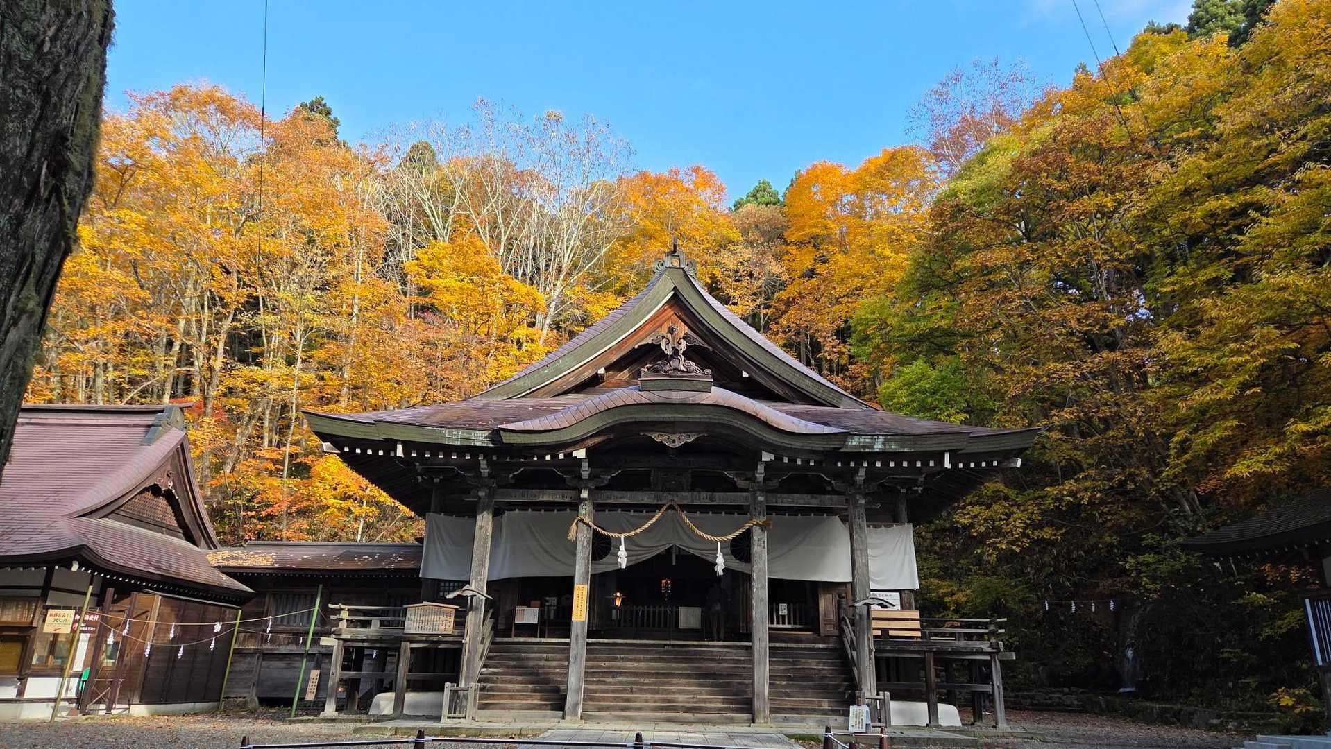 【JAPAN TRAIL】あまとみトレイル①（一ノ鳥居苑地 - 戸隠）の写真