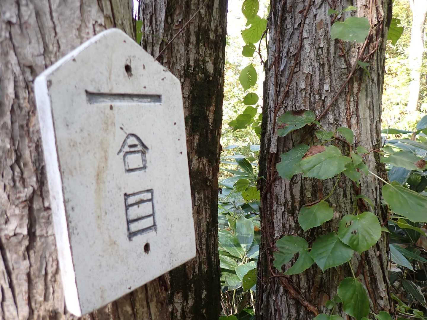 で
登山道に出て

駐車場までが長く感じる…

きっと…
もう…羊蹄山には
登らないだろ…
と…

思った…