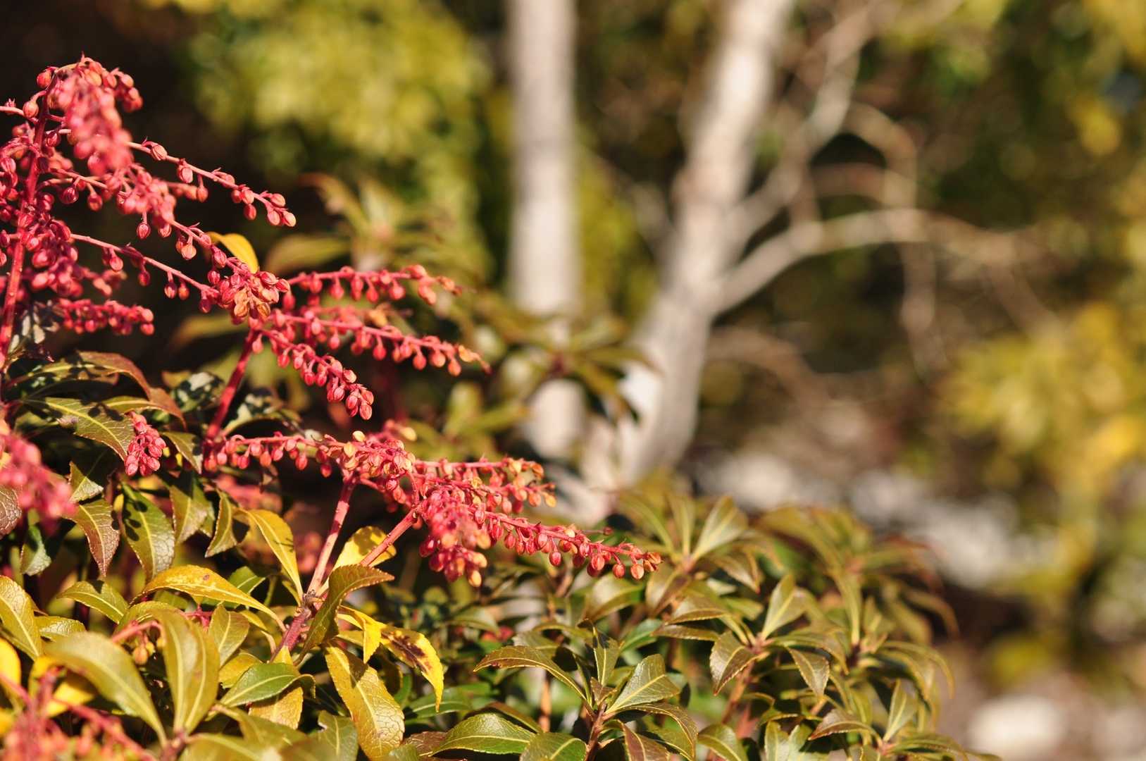 もうちょっと🌼
