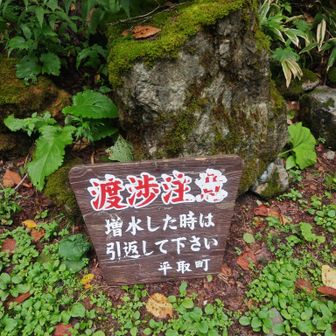 渡渉地点到着