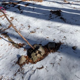 奥後山に到着。三角点があるらしいので探していたら…ありました！ピークから10mぐらい離れたところです