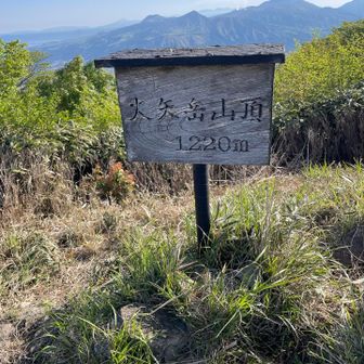 最後の山の山頂かな？