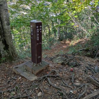 左は三条の滝、右は燧裏林道