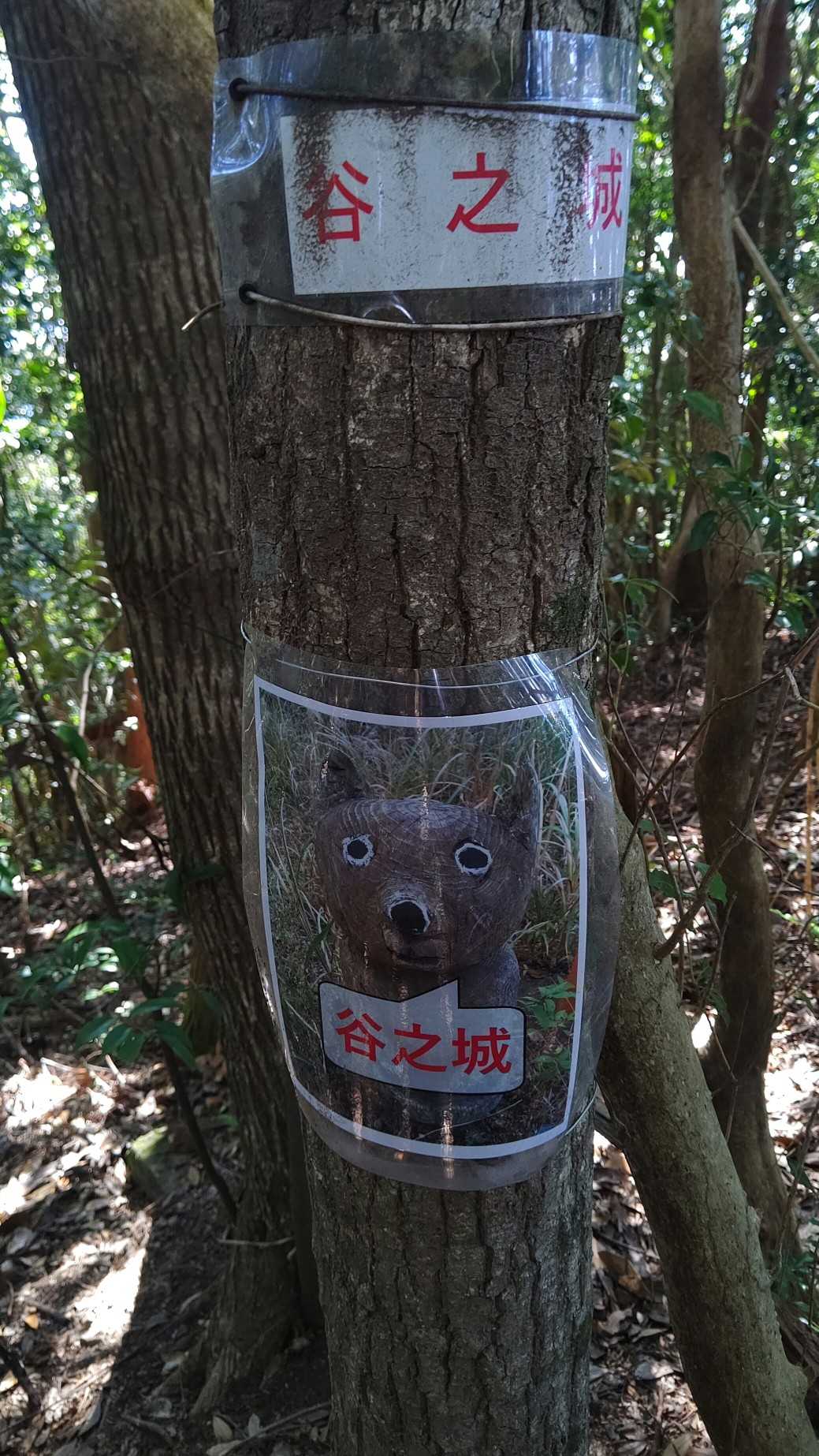 山頂、これはYAMAPのメンバーさんの投稿で良く見かけるお顔
なんだちみはっ？ってつぶやいているイメージですが😆