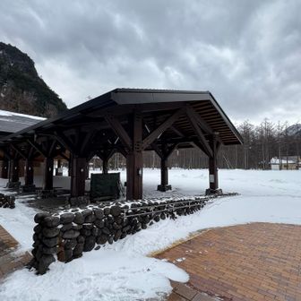 今日はお猿さんも不在