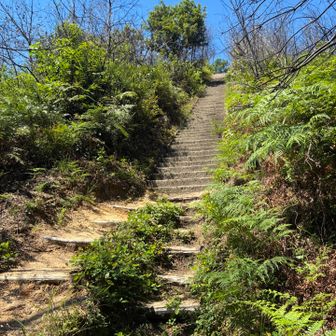光明岩の急登の後のこの階段がまたキツイ💦
