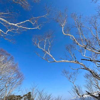 飽きない景色だ