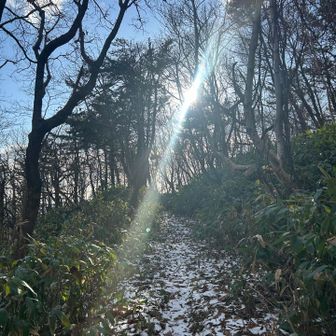 登山道は、草刈りしてありました。ありがたい🙏