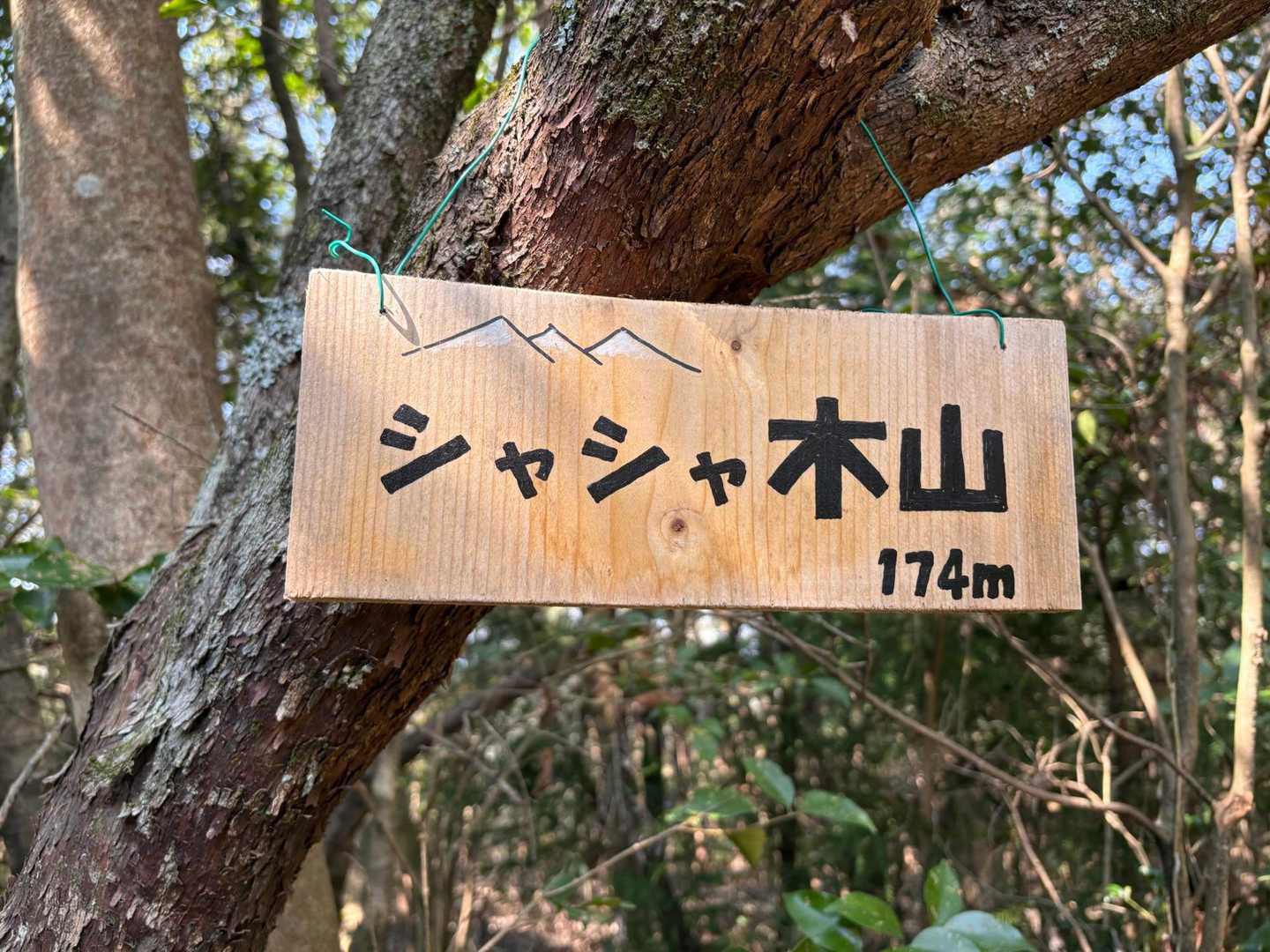 シャシャ木山🔺

👨‍🦰シャキシャキ山✖️ 
👩シャカシャカ山✖️
👲じゃんじゃか山✖️   みんな覚えてきてね。