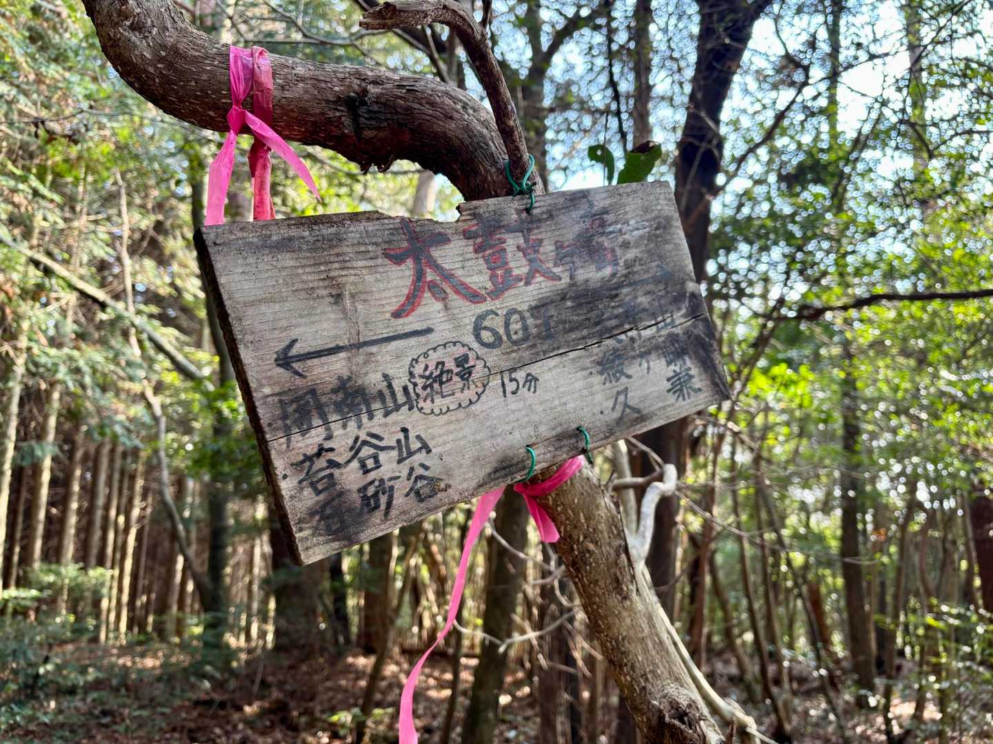 太鼓ヶ岳到着！
眺望はなし
絶景が待ってるようなのでさっさと進む