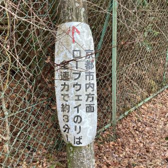 一旦、グレーピーク🩶を取るために叡山ロープウェイ🚡方面に向かいます。
全速力で走れば3分！
私は歩きますけど。。