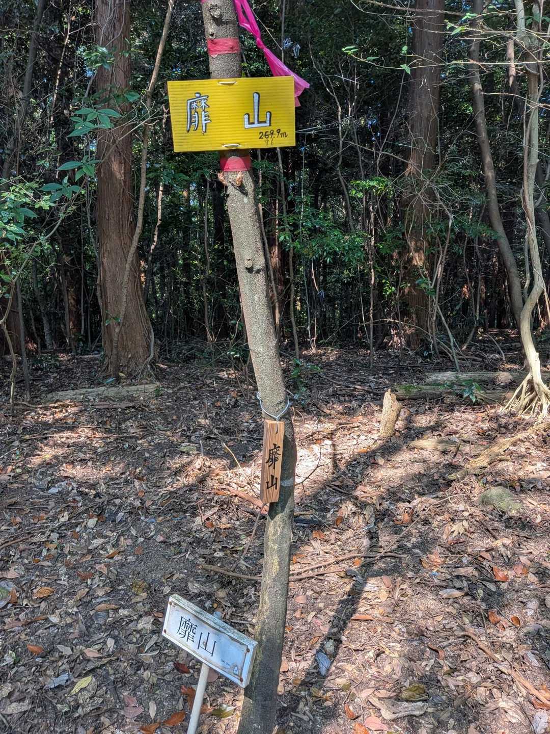 ④靡山　296m（訂正されてる）