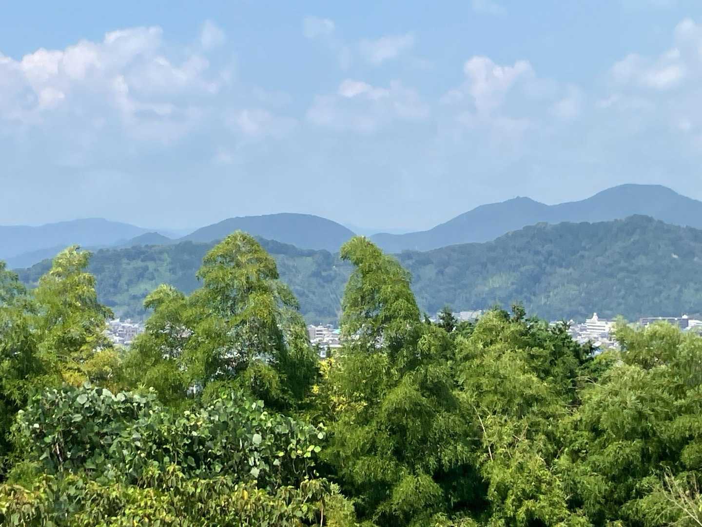 手前から賎機山、常住山、杉の沢、安倍城址、
左はダイラボウ