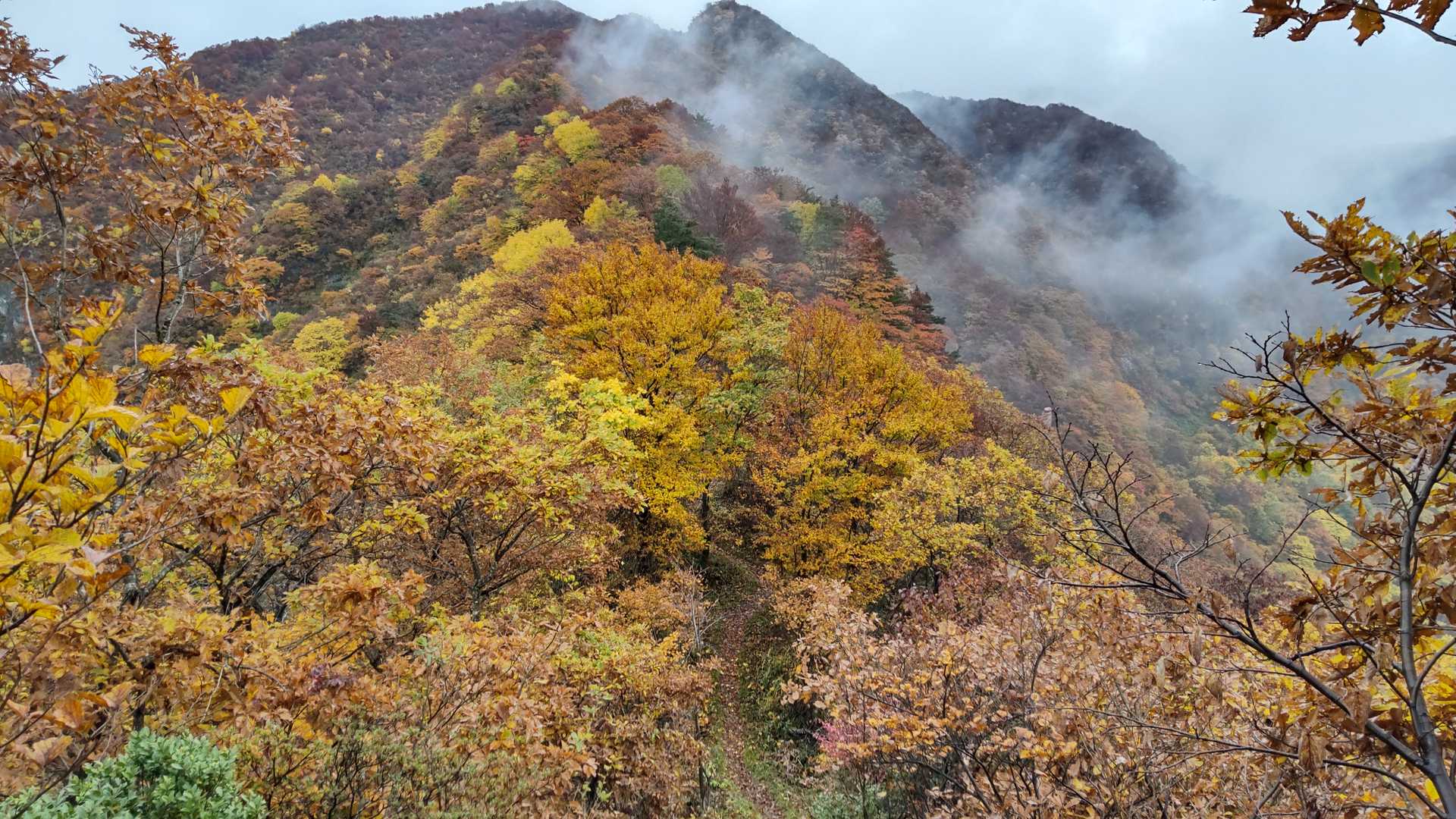 粟ヶ岳登山口-粟ヶ岳 往復コースの写真