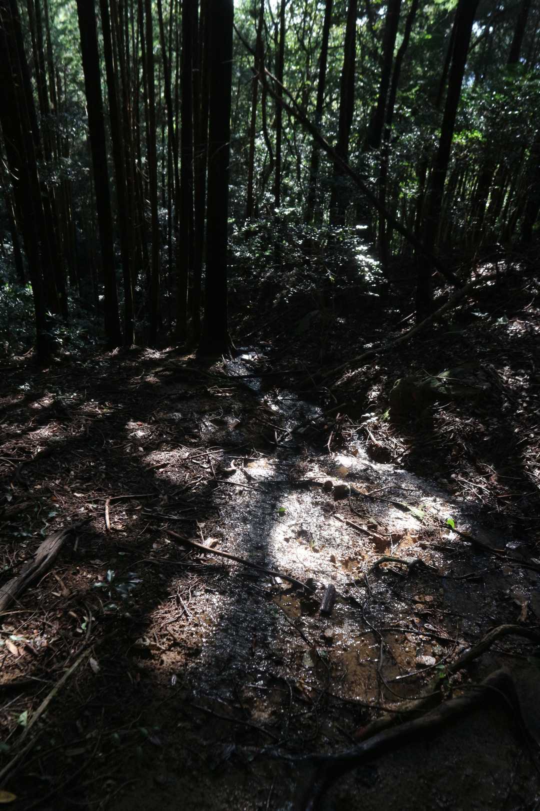 ぽけ～