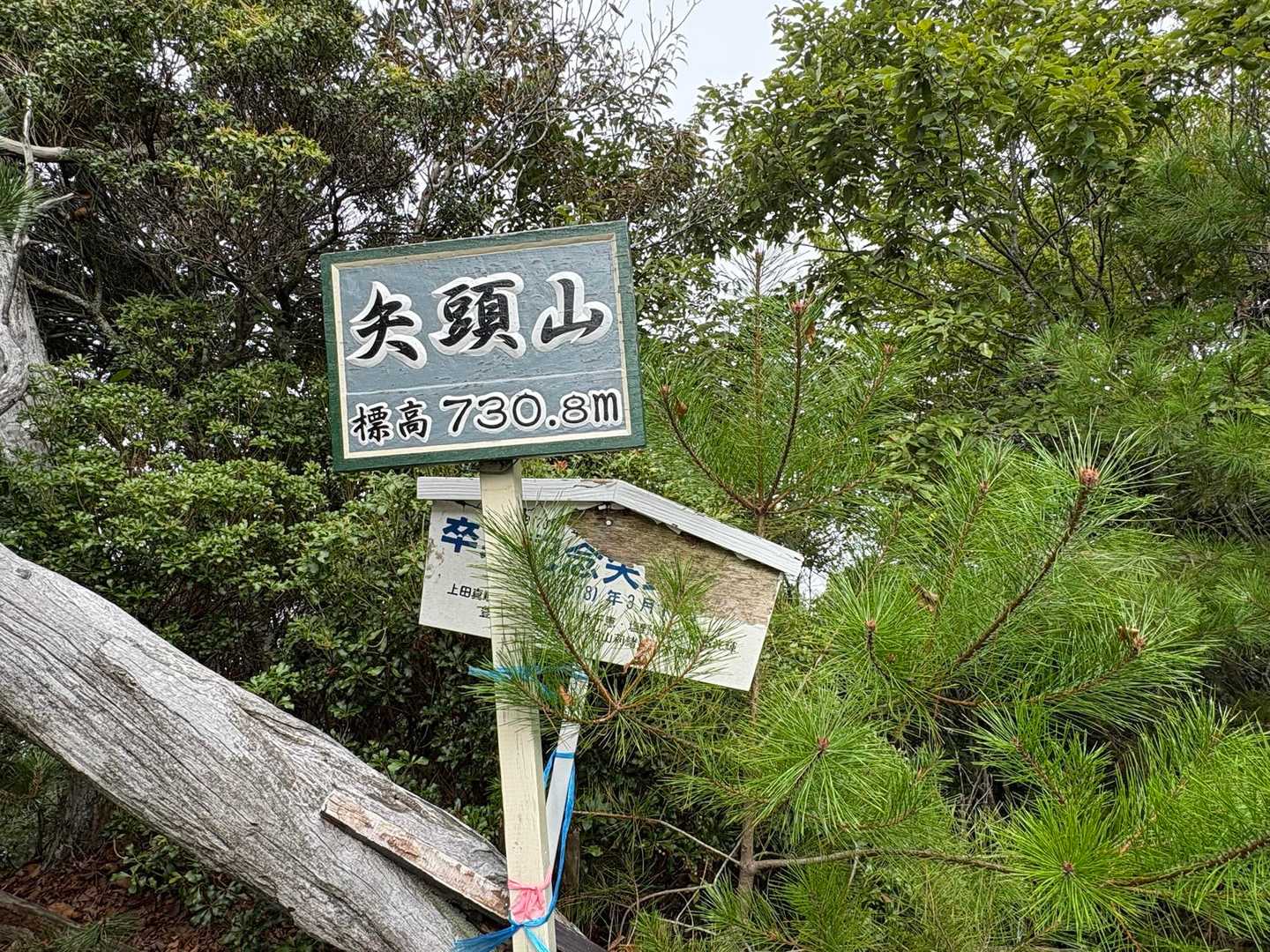 2度目の矢頭山。YAMAPでは初ピーク🙌
7年前、恐ろしく急なのにあまりに展望なしで4人で大笑いした場所（笑）

卒業記念とあるけど、この急登にこの眺望なしでは😳と前回同様思う😩