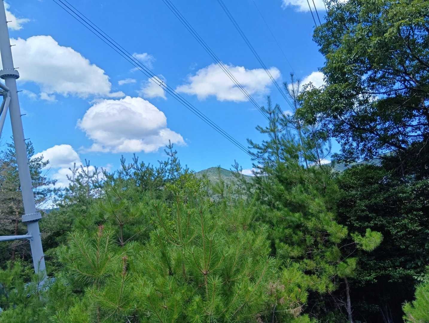 半国山かなぁ❓️🏔️
