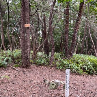 昨日もきた黒石