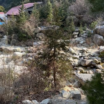 河原まで降りてきて一安心？