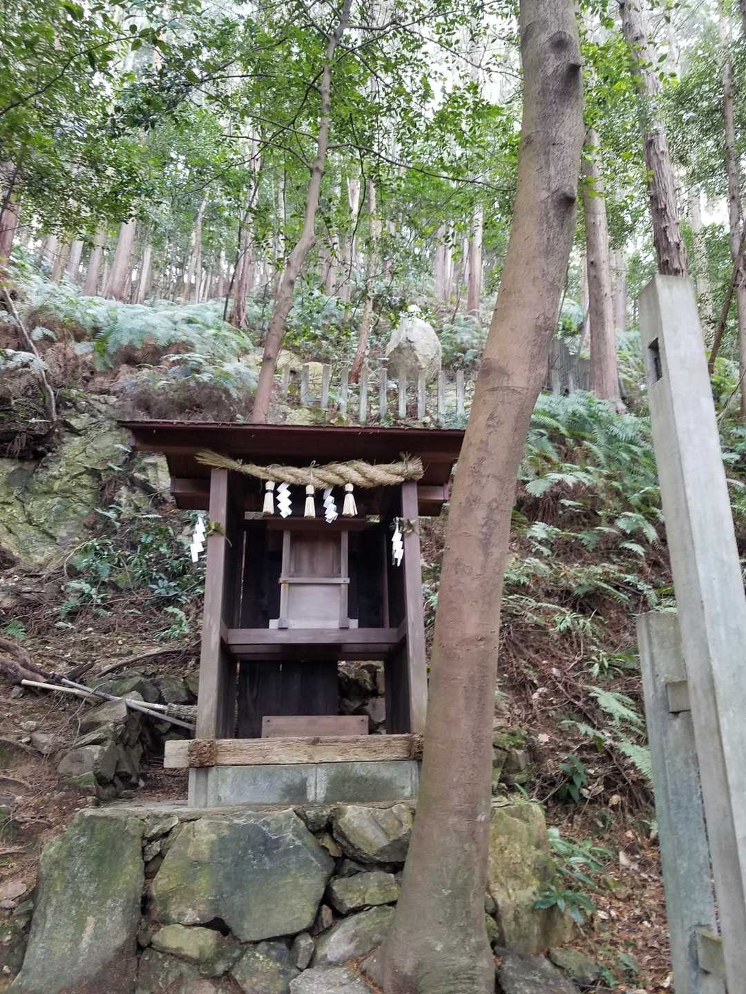 大縣神社登山口-相澤山-尾張本宮山-信貴山 周回コースの写真