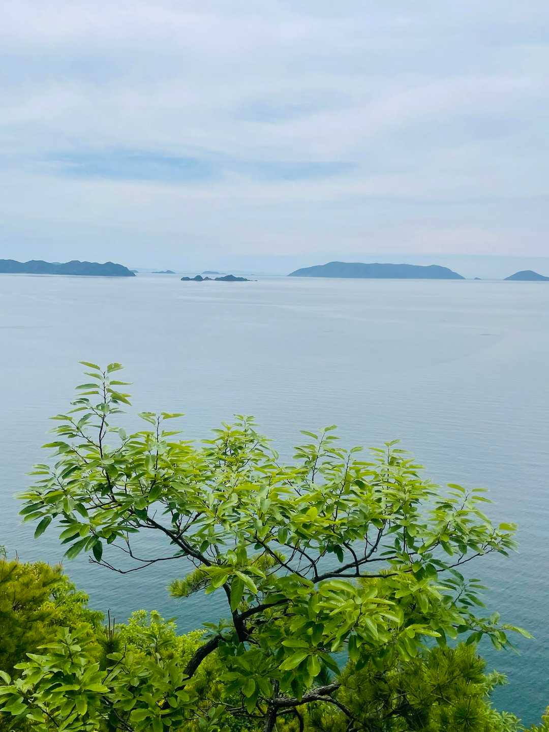 今日も穏やかな瀬戸内