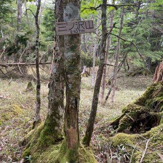 昨日ピークを踏めなかった三ノ沢山