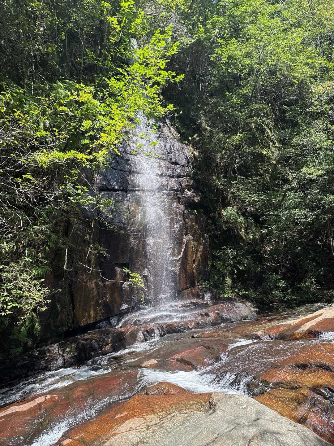 元岩巣山-岩巣山 往復コースの写真