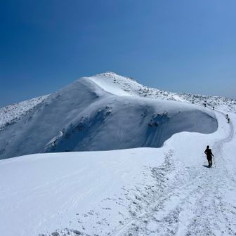 わー、めっちゃ素敵🥰