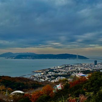 登り始めは曇ってた⛈️