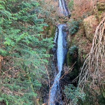 上から　迫力ある〜