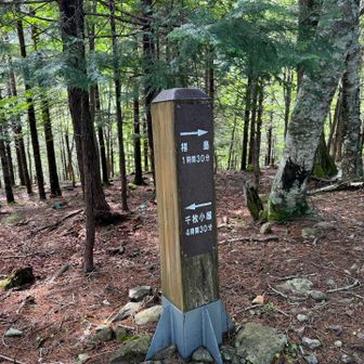 標柱。椹島まで1時間30分。